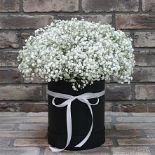 Цветочная композиция из Гипсофила в шляпной коробке в Гагино