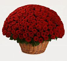 Премиум букет из: Розы в Гагино